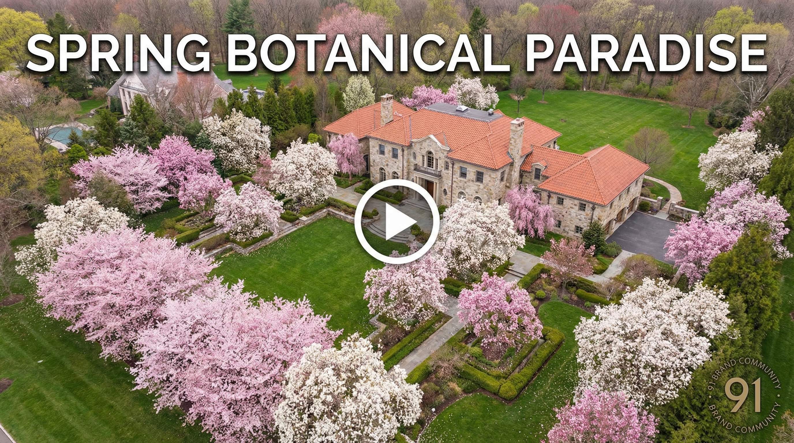 香蕉视频植物视频